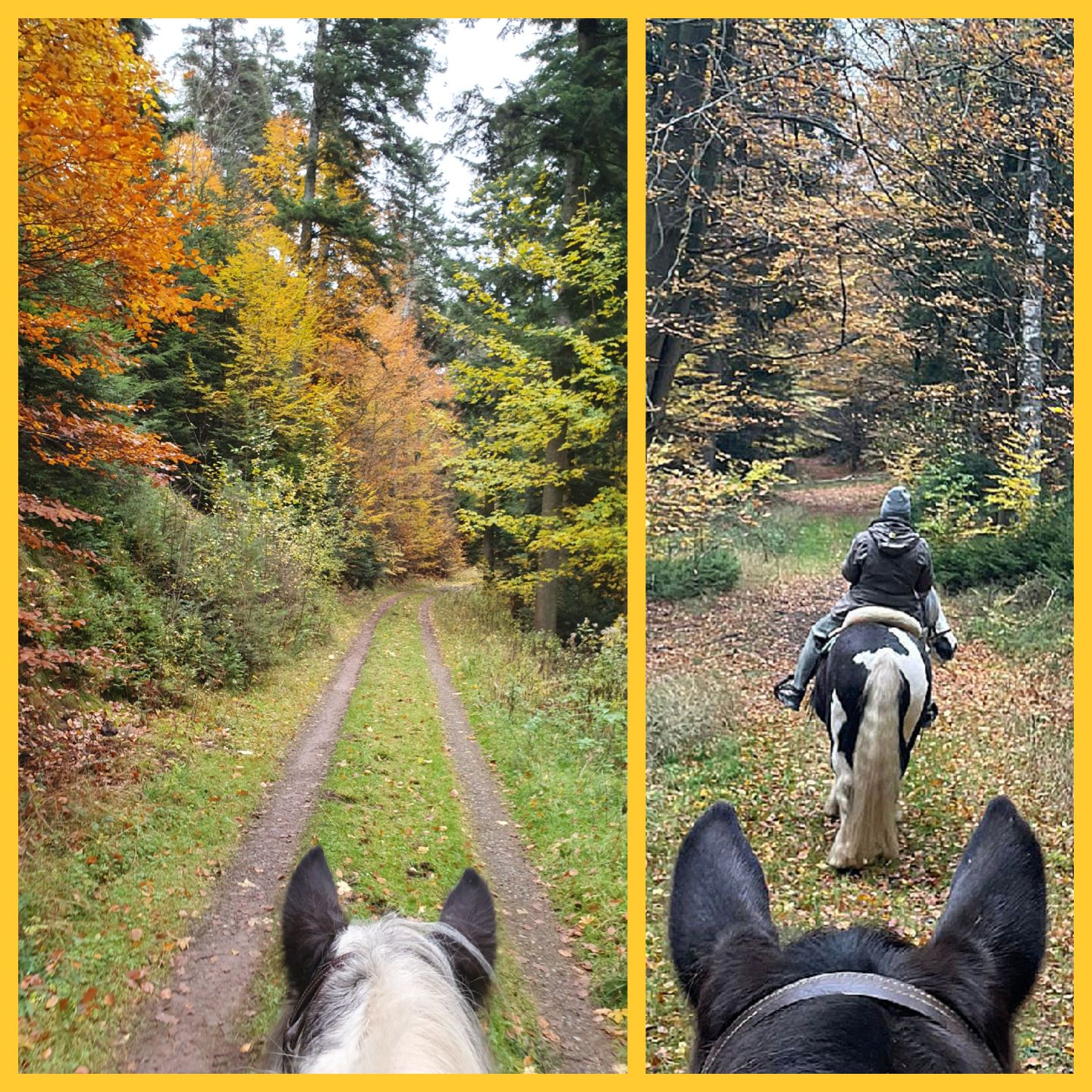 2023 11 November 592